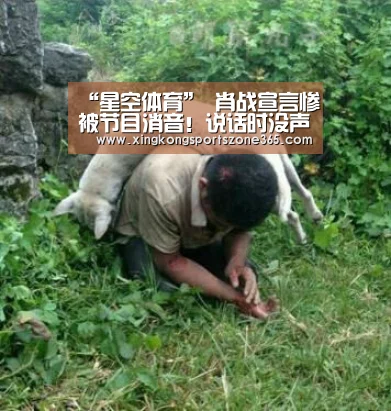 “星空体育”
肖战宣言惨被节目消音!说话时没声音 这个锅肖战不背(图4) 星空电竞